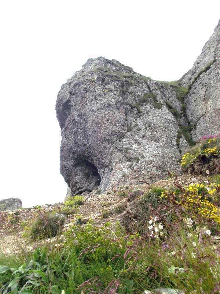 11099937_709896095806622_1935710204489862075_n