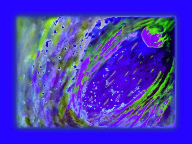 1653689_448287011967533_148474055_n