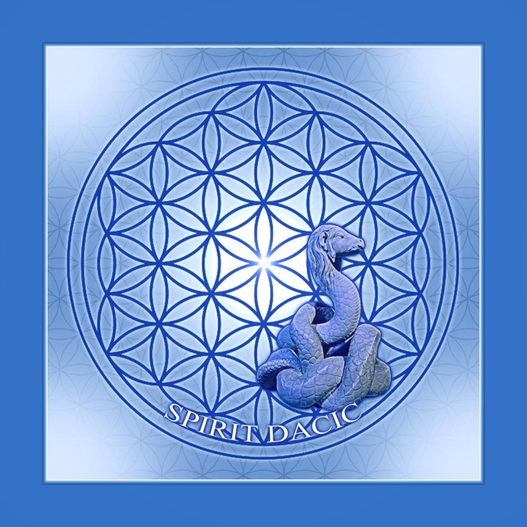 36064745_10155231915406650_7190455739532443648_n - Copy