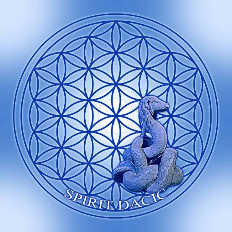 36270611_10155231808306650_9010595251022200832_n