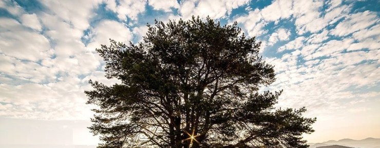 33216353_1508995255896698_6333438978900885504_n